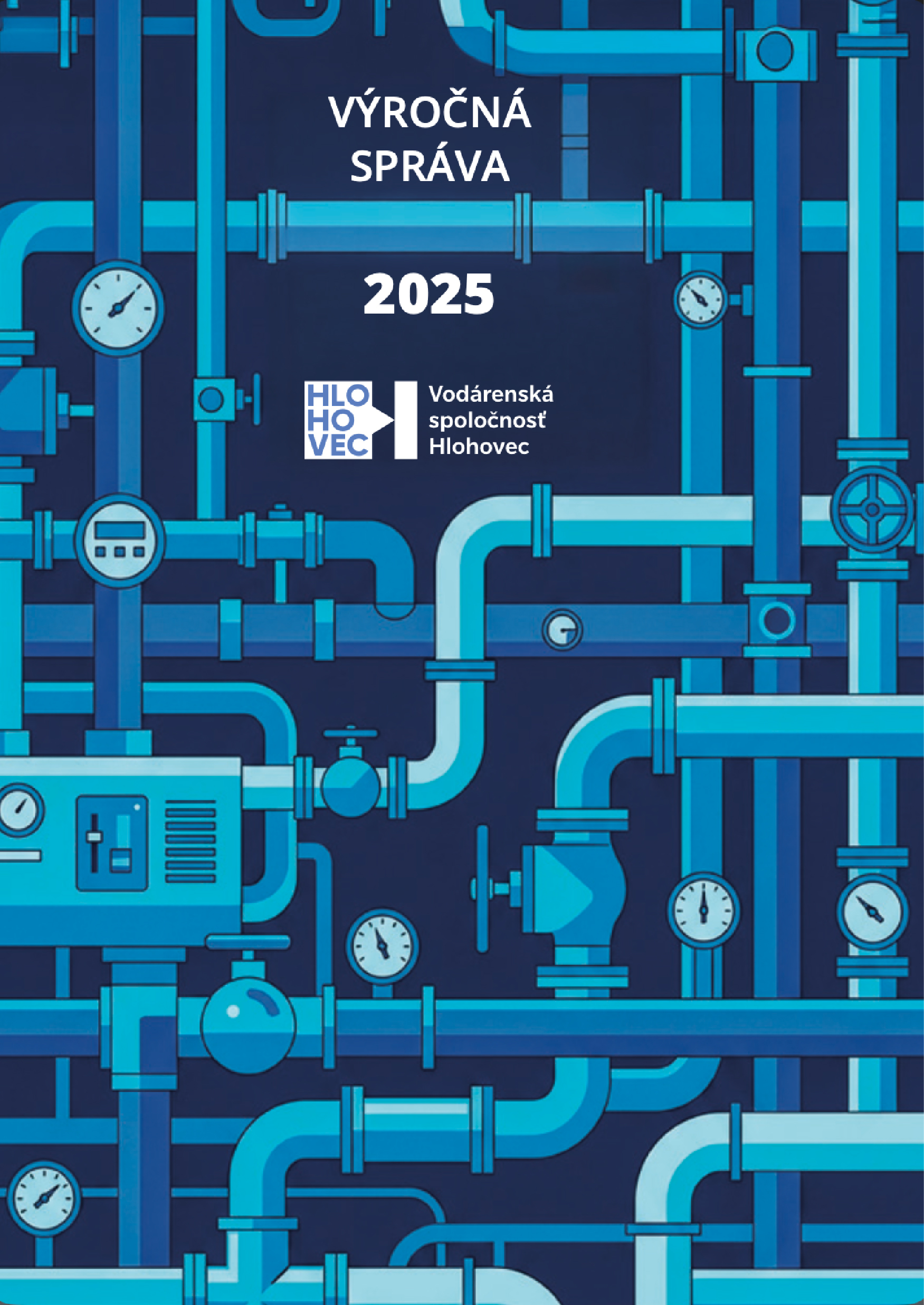 Výročná správa 2025